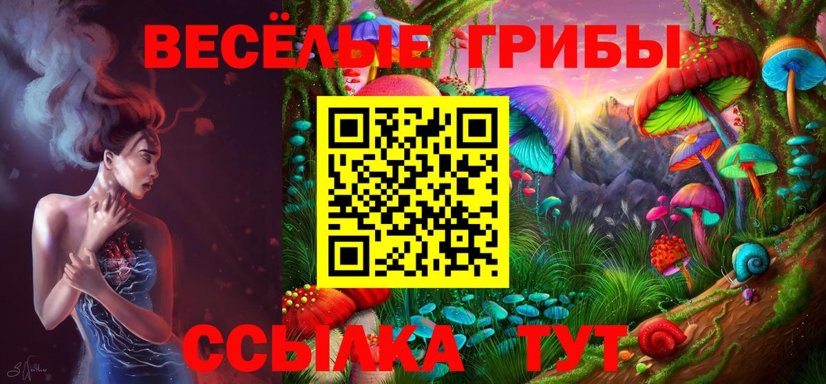 Псилоцибиновые грибы прущие грибы  Вход с VPN  Галлюциногенные грибы мицелий  Бирск 