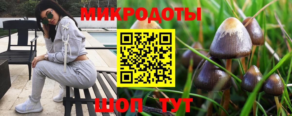 Псилоцибиновые грибы мицелий Бирск